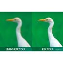 ケンコー双眼鏡Avantar&nbsp;8×25ED&nbsp;DH4961607976517&nbsp;|&nbsp;双眼鏡&nbsp;軽量&nbsp;コンパクト&nbsp;スポーツ観戦&nbsp;ライブ&nbsp;コンサート&nbsp;送料無料&nbsp;東京&nbsp;中野区