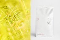 【令和7年産】南魚沼君沢産こしひかり　白燦々&nbsp;10kg（従来品種）