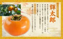 希少な柿［輝太郎］大玉6個～7個&nbsp;コクのある甘さ！こだわり農家厳選［2026年9月末から10月末頃順次発送］［KG24］