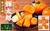 希少な柿［輝太郎］大玉6個～7個&nbsp;コクのある甘さ！こだわり農家厳選［2026年9月末から10月末頃順次発送］［KG24］