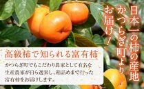 先行予約 富有柿 秀品6～8個入り こだわり農家厳選［2026年11月初旬頃から12月上旬頃順次発送］［KG25］