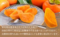 先行予約 富有柿 秀品6～8個入り こだわり農家厳選［2026年11月初旬頃から12月上旬頃順次発送］［KG25］
