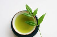 【定期便6回】八女茶　【特上】煎茶セット　100g×2袋