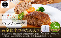 ぶつぎりたんちゃん特製&nbsp;ごほう美たんの詰め合わせ