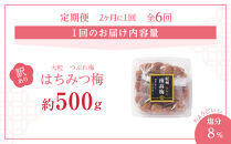 訳あり&nbsp;梅干し&nbsp;大粒&nbsp;大玉&nbsp;つぶれ梅&nbsp;はちみつ梅&nbsp;約500g&nbsp;×&nbsp;6回&nbsp;塩分8％&nbsp;[&nbsp;定期便&nbsp;2か月に１回発送・全6回&nbsp;]