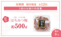 訳あり&nbsp;梅干し&nbsp;大粒&nbsp;大玉&nbsp;つぶれ梅&nbsp;はちみつ梅&nbsp;約500g&nbsp;×&nbsp;12回&nbsp;塩分8％&nbsp;[&nbsp;定期便&nbsp;毎月発送・全12回&nbsp;]