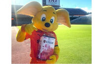 寄付が清水エスパルスを応援！！&nbsp;薔薇のおもてなしトイレットペーパー&nbsp;ダブル&nbsp;25m&nbsp;12ロール&nbsp;x&nbsp;16パック&nbsp;計192ロール&nbsp;香り付き&nbsp;再生紙100％&nbsp;限定&nbsp;&nbsp;清水エスパルス&nbsp;×&nbsp;&nbsp;薔薇のおもてなしトイレットペーパー&nbsp;ダブル日用品&nbsp;消耗品&nbsp;防災&nbsp;備蓄&nbsp;&nbsp;コスパ&nbsp;ランキング◆