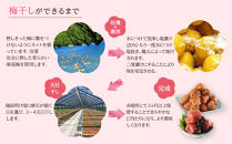 訳あり&nbsp;梅干し&nbsp;大粒&nbsp;大玉&nbsp;つぶれ梅&nbsp;しそ梅&nbsp;約500g&nbsp;×&nbsp;6回&nbsp;塩分10％&nbsp;[&nbsp;定期便&nbsp;2か月に１回発送・全6回&nbsp;]