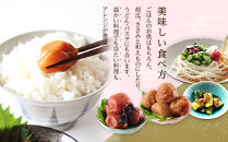 訳あり&nbsp;梅干し&nbsp;大粒&nbsp;大玉&nbsp;つぶれ梅&nbsp;はちみつ梅&nbsp;約1kg(500g×2)&nbsp;×&nbsp;6回&nbsp;&nbsp;塩分8％&nbsp;[&nbsp;定期便&nbsp;2か月に１回発送・全6回&nbsp;]