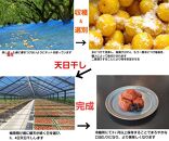 訳あり 梅干し 大粒 大玉 つぶれ梅 はちみつ梅 約1kg(500g×2) × 6回  塩分8％ [ 定期便 毎月発送・全6回 ]