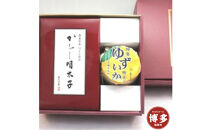 博多ワイン仕込詰め合わせ「ゆずいか明太セットＡ」