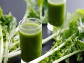 ホテル奈良さくらいの郷 デラックスツインルーム（景観なし）1泊2食 ペア 宿泊券