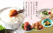 訳あり&nbsp;梅干し&nbsp;大粒&nbsp;大玉&nbsp;つぶれ梅&nbsp;しそ梅&nbsp;約500g&nbsp;×&nbsp;12回&nbsp;塩分10％&nbsp;[&nbsp;定期便&nbsp;毎月発送・全12回&nbsp;]