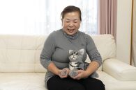 川崎市のロボットメーカーが作る、シニア向けペットの代理ロボット！なでなでねこちゃんEXシリーズ　（アメショー）
