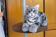 川崎市のロボットメーカーが作る、シニア向けペットの代理ロボット！なでなでねこちゃんEXシリーズ　（アメショー）