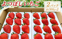よつぼしいちご　約600g（約300g×2パック）