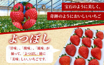 よつぼしいちご　約600g（約300g×2パック）