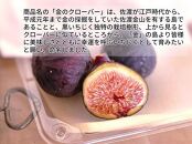 【先行予約・個数限定】佐渡産　特選黒いちじく「金のクローバー」800ｇ（8～9玉入（400g）2パック）