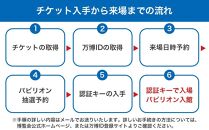 【大東市ふるさと納税】大阪・関西万博入場チケット＜早割一日券／小人＞EXPO 2025