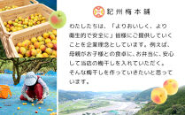 梅干し屋さんの&nbsp;紀州産&nbsp;カリカリ&nbsp;梅ひじき&nbsp;150g×2個&nbsp;紀州産&nbsp;ごはんのお友