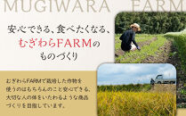 筑前クロダマル味噌セット（味噌500g、メシダマルシリーズ45g×４種）