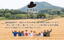 筑前クロダマル味噌セット（味噌500g、メシダマルシリーズ45g×４種）