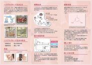 【baraio】バライオ&nbsp;ローズスキンフレグランスジェル30ml&nbsp;No.3（美容液）□