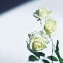 【baraio】バライオ&nbsp;ローズスキンフレグランスジェル30ml&nbsp;No.3（美容液）□