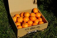 下津蔵出しみかん&nbsp;約3kg&nbsp;S～Lサイズいずれか&nbsp;山下農園