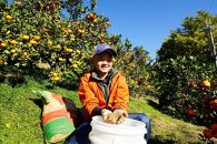 下津蔵出しみかん&nbsp;約3kg&nbsp;S～Lサイズいずれか&nbsp;山下農園