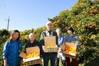 下津蔵出しみかん&nbsp;約3kg&nbsp;S～Lサイズいずれか&nbsp;山下農園