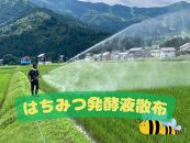 【令和8年産・新米予約・定期便】新潟県南魚沼産（塩沢地区）はちみつ米コシヒカリ&nbsp;5kg×12か月　※蜂蜜発酵液肥料栽培【2026年9月下旬より1ヶ月以内に順次発送予定】