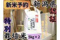 【令和8年産・新米予約】安心安全の新潟県南魚沼産特別栽培米コシヒカリ　10kg　新潟県認証【2026年10月上旬より1ヶ月以内に順次発送予定】
