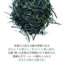 静岡産手摘み玉露 「極」2本桐箱入【おやいづ製茶】