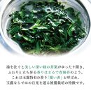 静岡産手摘み玉露 「極」2本桐箱入【おやいづ製茶】