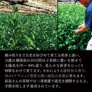 静岡産手摘み玉露 「極」2本桐箱入【おやいづ製茶】