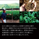 静岡産手摘み玉露 「極」2本桐箱入【おやいづ製茶】