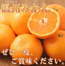 ［ご家庭用訳アリ］紀州有田産濃厚完熟温州みかん 約5kg ［2025年11月下旬以降発送 先行予約 ］［UT13］