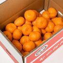 ［ご家庭用訳アリ］紀州有田産濃厚完熟温州みかん 約5kg ［2025年11月下旬以降発送 先行予約 ］［UT13］