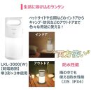 東芝 防災グッズ アルカリ乾電池単3・4形 懐中電灯 LEDランタン LEDランタン付ライト X-BOUSAI SET
