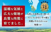 九州産豚肉1.5kg　2種セット　（ロース生姜焼き用350g×2　バラスライス　400g×2　）