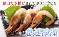 知床羅臼ボタンエビ(中) 250g 生産者 支援 応援