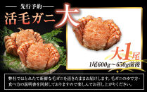 &nbsp;【先行予約/2026年4月発送開始】活毛ガニ　大１尾（600g～650g前後）