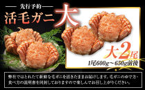 【先行予約/2026年4月発送開始】活毛ガニ　大２尾（600g～650g前後）