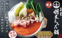 元祖　博多明太とろろ鍋セット（2〜3人前）×2個セット