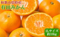 ［秀品］ 和歌山 有田みかん 約10kg 2Lサイズ 2025年11月中旬頃より順次発送