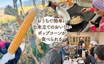 佐渡島産 大野さんのポップコーン用とうもろこし（180g×5袋入）