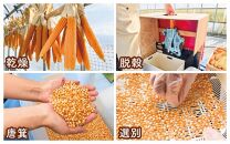 佐渡島産 大野さんのポップコーン用とうもろこし（180g×5袋入）