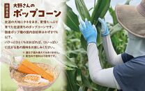 佐渡島産 大野さんのポップコーン（塩バター味2袋＆塩キャラメル味3袋入）