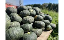 旬まるかじり!&nbsp;石川県産&nbsp;かぼちゃ&nbsp;300ｇ&nbsp;x&nbsp;6袋